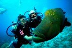 Port Blair To Havelock Island