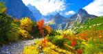 Srinagar-Pahalgam- Srinagar