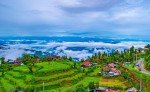 Pelling – Darjeeling (80 Kms / 4 hrs)