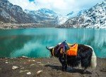 Excursion to TsomgoLake& Baba Mandir