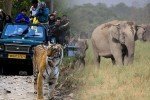 Corbett Jungle Safari/ Sightseeing  - Delhi (280kms/7hrs)