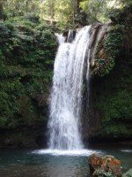 Kausani - Corbett National Park (190km/6hrs)