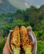 New Delhi – Nainital