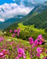 Day 12 : BADRINATH – GOVIND GHAT