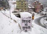Delhi -Shimla (By Road )