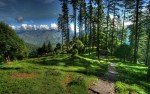 Mussoorie – Dhanaulti Sightseeing (30km/01-02hrs approx.)