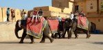 Jaipur
