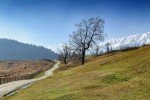 Srinagar - Gulmarg - Srinagar - 112Kms