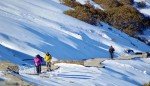 Chopta Full day excursion in Chopta . O/N stay in Chopta