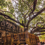 Gaya – Pind Daan & Departure