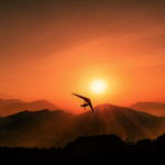 Sarangkot Excursion & Pokhara City Sightseeing