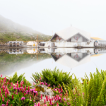 Trek to the Valley of Flowers