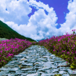 Trek to Hemkund Sahib - A Sacred Journey