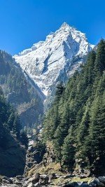 Uttarkashi to Harsil Village (75 km, 3-4 hrs)